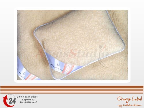 Orange Label Doris fur wool pillow - medium 50x70 cm