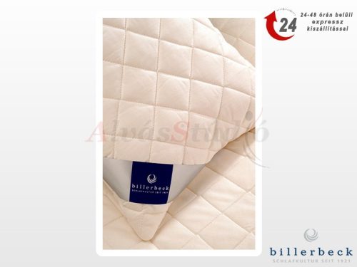 Billerbeck Debora wool pillow - large 70x90 cm