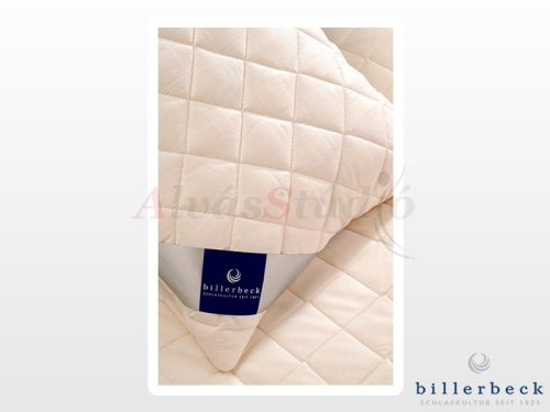 Billerbeck Debora wool pillow - medium 40x80 cm