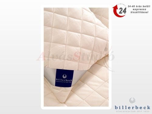 Billerbeck Wool Classic wool pillow - small 36x48 cm
