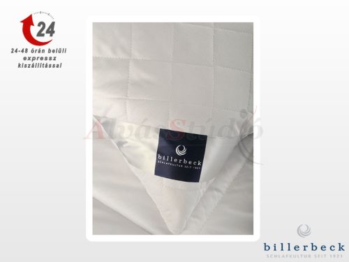 Billerbeck Chantal pillow - large 70x90 cm