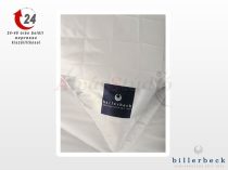 Billerbeck Chantal pillow - small 36x48 cm
