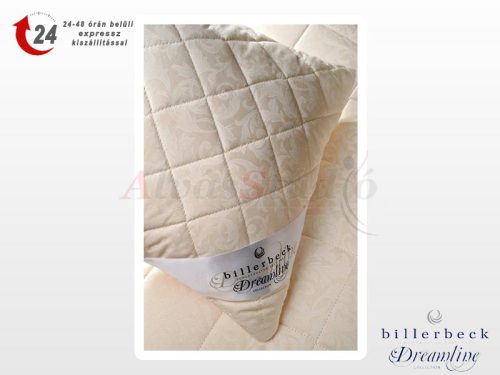 Billerbeck Love Story pillow - small 36x48 cm