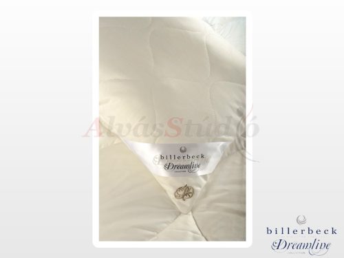 Billerbeck Dreamy Cool pillow  - large 70x90 cm