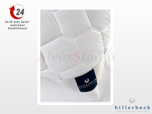 Billerbeck Rondo anatomic pillow 50x70 cm
