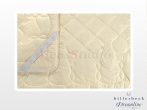 Billerbeck Dreamline mattress protector 80x200 cm