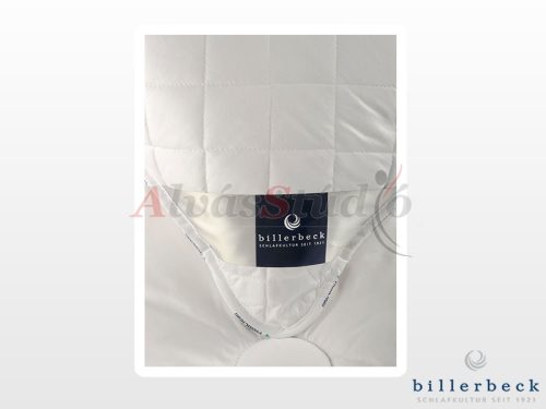 Billerbeck Mediclean pillow - small 36x48 cm