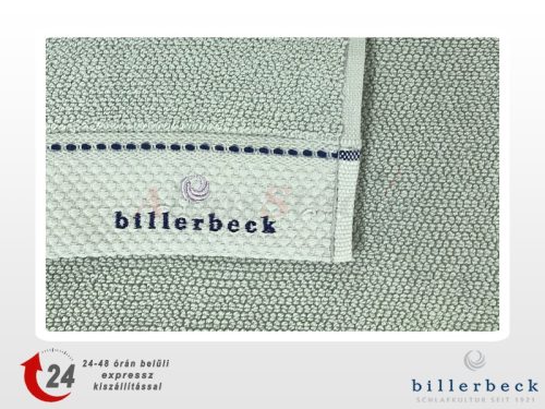 Billerbeck towel - Light Green-Turquoise 50x100 cm