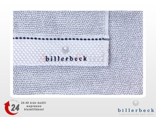 Billerbeck towel - Light Blue 50x100 cm