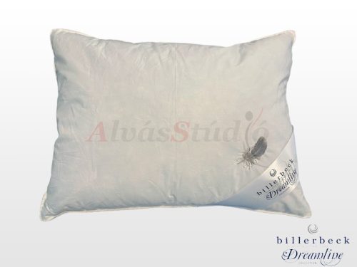 Billerbeck Meyrin pillow - medium 50x70 cm