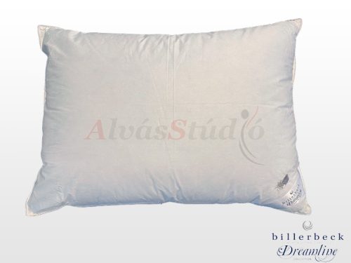 Billerbeck Meyrina pillow - large 70x90 cm