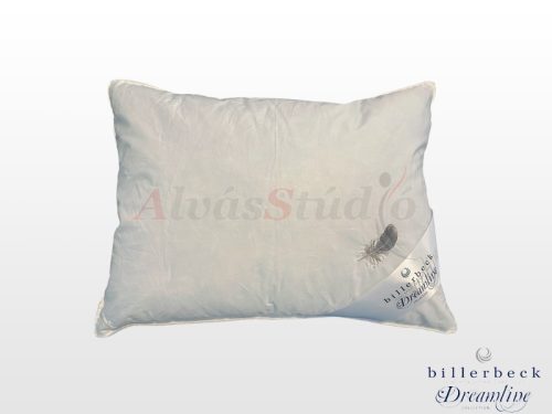 Billerbeck Meyrin pillow - small 36x48 cm