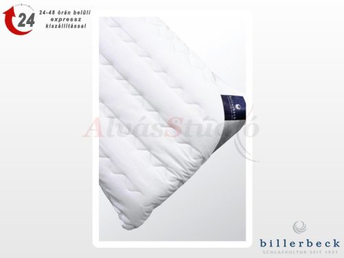 Billerbeck Top anatomic pillow
