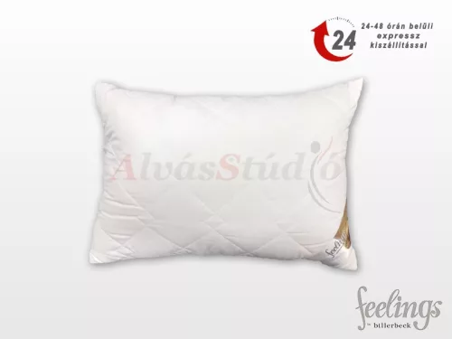 Feelings antiallergén félpárna 50x70 cm