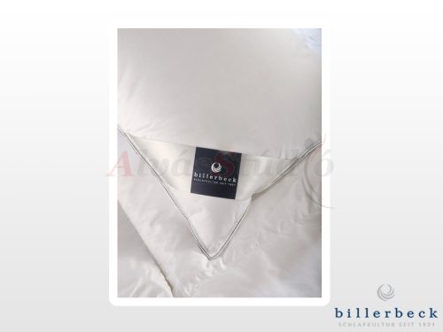 Billerbeck Diana pillow - small 36x48 cm