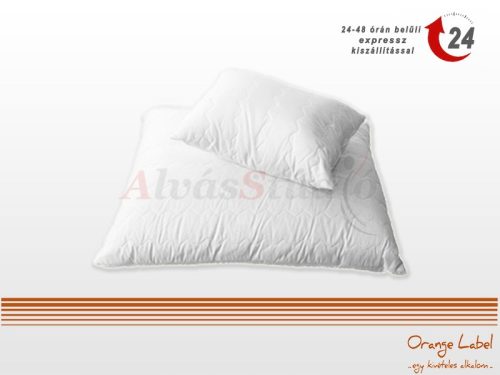Billerbeck Hanna pillow - small 36x48 cm