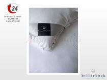 Billerbeck Denia pillow - large 70x90 cm