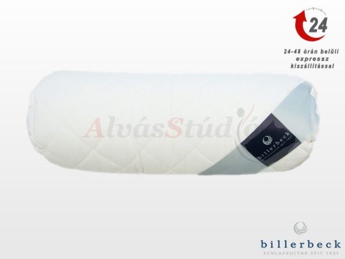 Billerbeck Charmant bolster pillow 40x15 cm