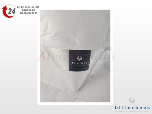 Billerbeck Bamboo pillow - medium 50x70 cm