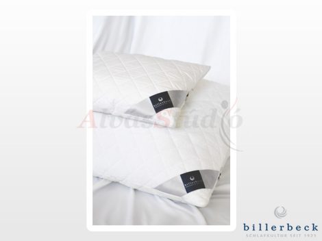 Billerbeck Sanitex pillow - small