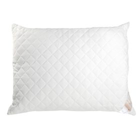 Billerbeck Sanitex pillow - small