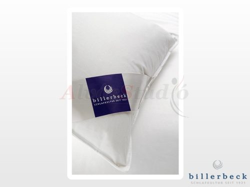 Billerbeck Andi pillow - large 70x90 cm