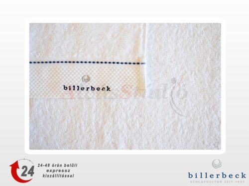 Billerbeck White towel 50x100 cm